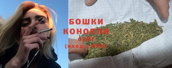 МДПВ Медногорск