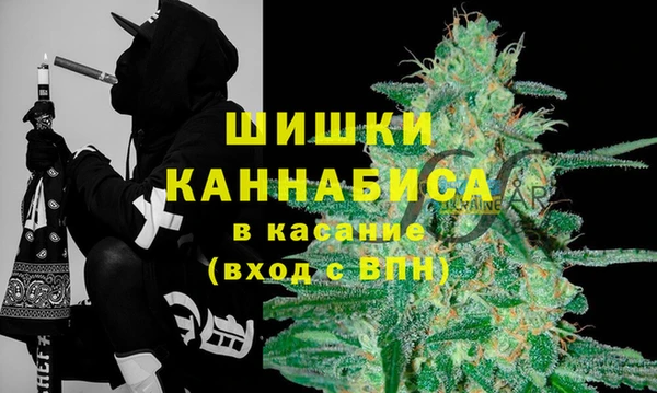 стаф Медвежьегорск