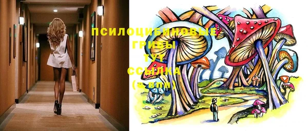 МДПВ Медногорск