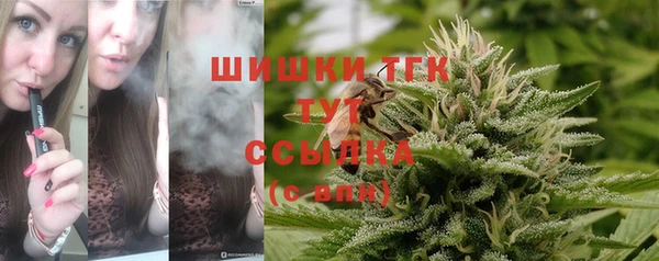 стаф Медвежьегорск