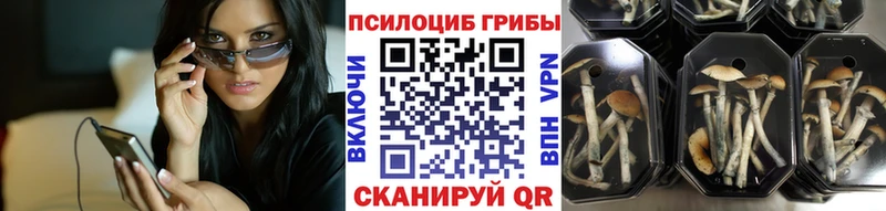 Галлюциногенные грибы Psilocybe  Вилючинск 